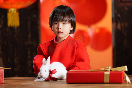 灯笼兔子摄影照片_可爱的小男孩收到新年礼物小兔子