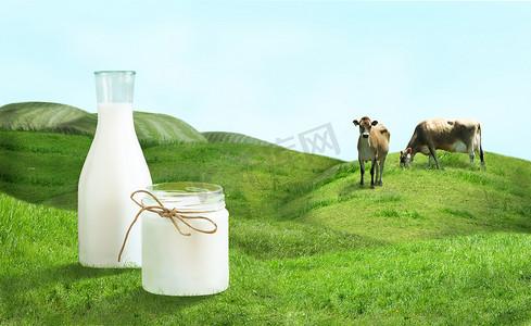 绿色的原野摄影照片_瓶牛奶和奶牛在绿色的原野上.