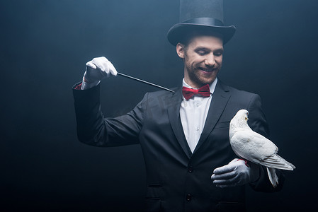 无赖摄影照片_快乐的魔术师，戴着帽子，带着鸽子和魔杖，在黑暗的房间里，带着浓烟，做着无赖 