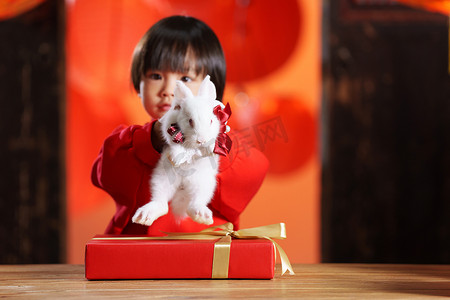 儿童小兔子摄影照片_可爱的小男孩收到新年礼物小兔子