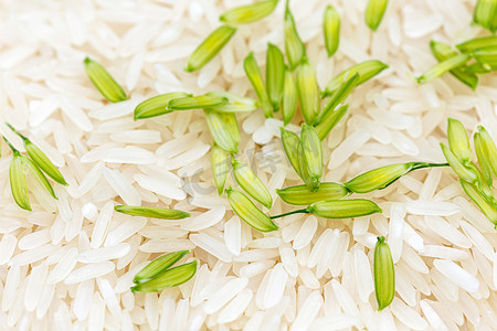 Jasmine rice grown in Thailand