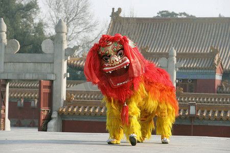 典礼红色摄影照片_中国舞狮