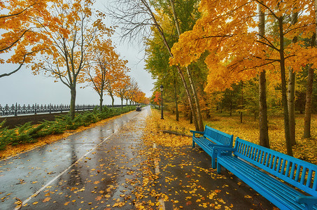 质感风摄影照片_秋园长凳, 多雨质感背景。秋天公园里的雨, 水滴, 风.