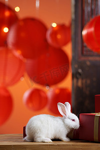 新年礼物盒和兔子
