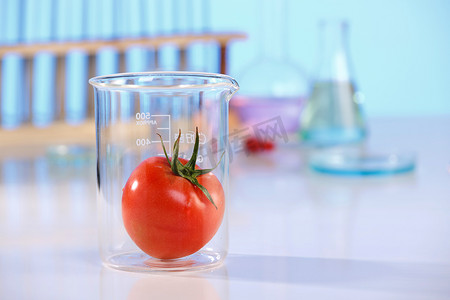 色彩分析摄影照片_实验室器皿西红柿