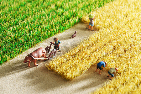 农民耕地摄影照片_农民们在稻田里劳作