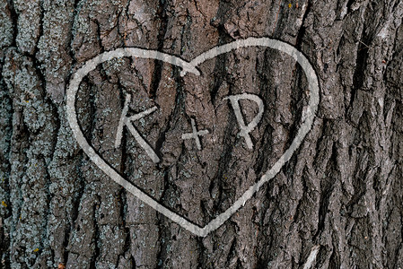 以雕刻在树上的心形相亲相爱的人的名字