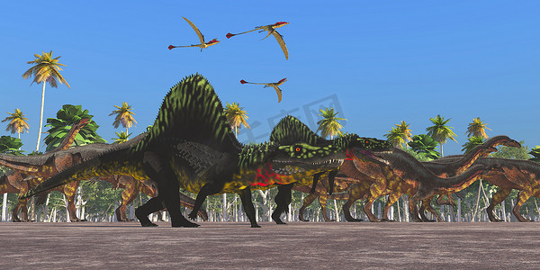 亚利桑那龙和板龙恐龙