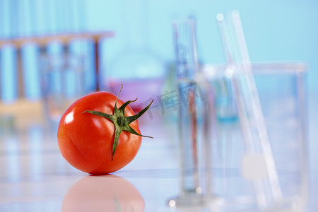 实验室器皿西红柿