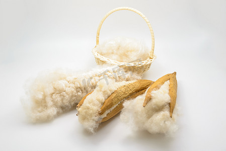 与白色纤维制作枕头木棉种子
