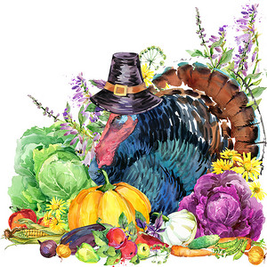 快乐的感恩节这一天背景与土耳其、 感恩节、 蔬菜、 水果和花卉的帽子。水彩插图