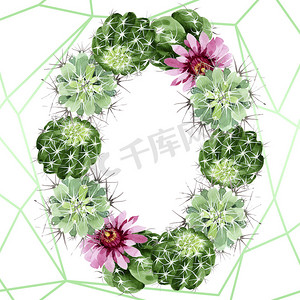 绿色仙人掌花卉植物花。水彩背景插图集。框架边框装饰广场.