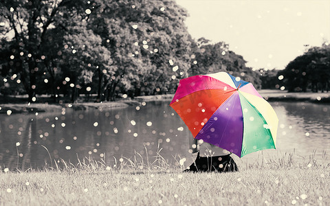 五颜六色的彩虹伞由坐在草地附近的女人在户外的草坪上, 充满自然和雨水, 放松概念, 美丽的概念, 孤独的概念, 选择颜色, 棕褐色戏剧性的色调