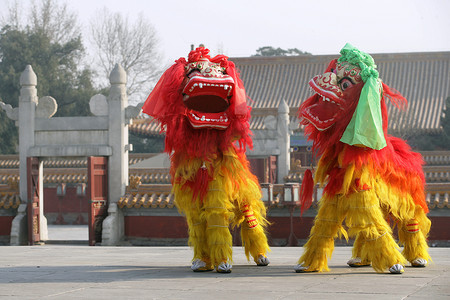 黄色风格摄影照片_中国天坛舞狮