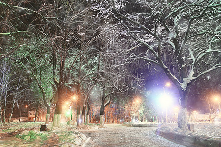 夜城市冬天或风景在1月城市灯装饰为假日, 树在城市公园, 冬天风景