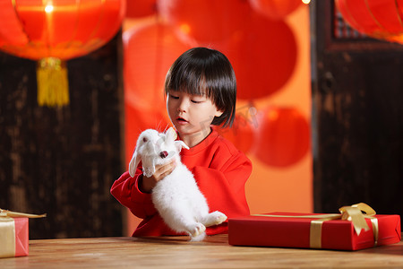 小清新成长摄影照片_可爱的小男孩收到新年礼物小兔子