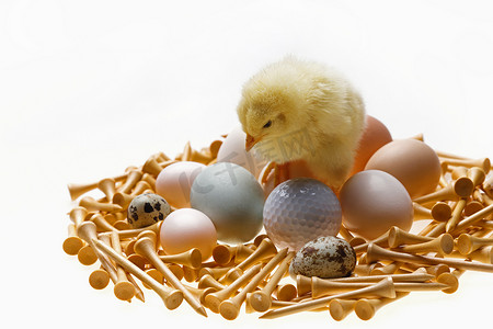 一只小鸡站在鸡蛋上