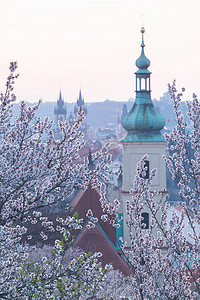 繁茂的树木摄影照片_布拉格旧城的城市景观，捷克共和国。红色的屋顶在地平线上.维多利亚女王教堂和布拉格新生的耶稣令人惊叹的春天，一座美丽的天主教教堂矗立在繁茂的树木中