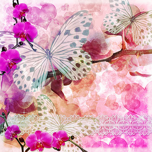 花边摄影照片_蝴蝶和兰花花粉红色背景带花边 (1 套)