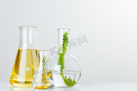 在实验室玻璃器皿中的植物。Skincare products and drugs chemical research concept