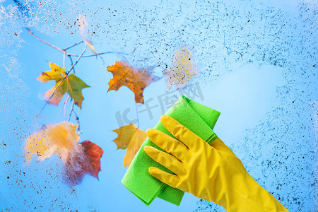 用黄色橡皮手套拿餐巾。蓝色的天空和五颜六色的枫叶在一个树枝后面的脏玻璃。清洁卫生主题的概念性形象.