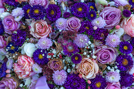 枯萎的花朵摄影照片_略显枯萎的紫色花朵从上至下紧密排列