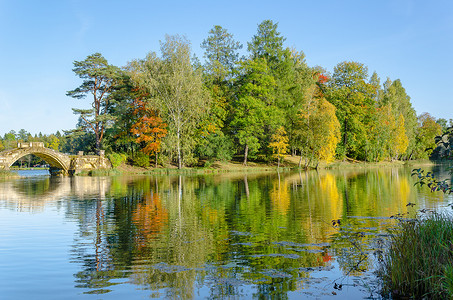 森林秋季景观庭园宫公园，背景为蓝色的天空和云