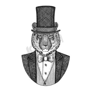 豹, 豹, 美洲狮, 美洲狮, 野猫。动物穿夹克与弓领带和丝绸帽子, 海狸帽子, 圆筒顶帽子。优雅的复古动物。图像为纹身, t-shirt, 徽章, 徽章, 标志, 补丁