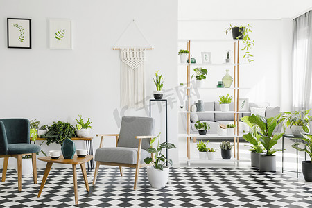 格子海报摄影照片_木制桌子之间的扶手椅之间的格子地板在客厅内部与植物和海报。真实照片