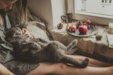 可爱的猫咪摄影照片_舒适的家里。可爱的猫咪坐在靠窗的床上的女人