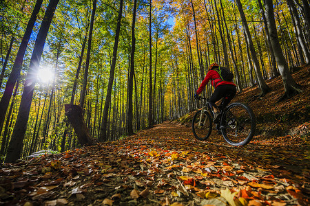 上山若水摄影照片_骑自行车，在秋天的树林中的小周期路上山关心他人女人.