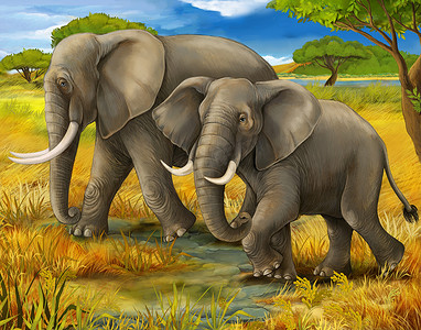 野生动物园的大象--图为儿童的