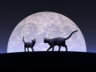 月光下的猫摄影照片_浪漫猫