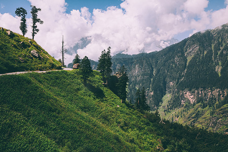美丽的树木和道路与汽车在风景秀丽的山, 印度喜马拉雅, 唐通行证  