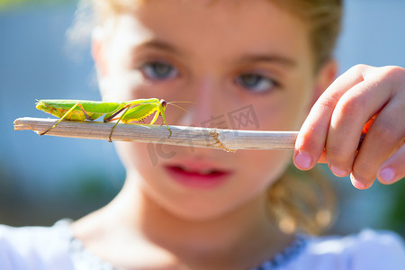 看螳螂的自然主义生物学家孩子女孩