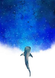 水彩画摄影照片_具有夜空背景水彩画的鲸鲨，用于夏季夜间装饰.