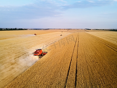 农业摄影照片_日落时在麦田工作的红色收割机的空中无人驾驶照片。联合收割机司机在农田里收割庄稼.有机耕作。农业主题，收获季节.