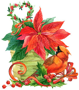 小鸟水彩摄影照片_Christmas bird with watercolor winter Christmas background. watercolor illustration