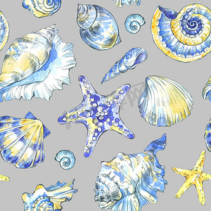 贝壳纹理摄影照片_手绘的贝壳模式.