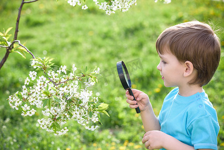探索自然在一块草地上，用放大镜的小男孩