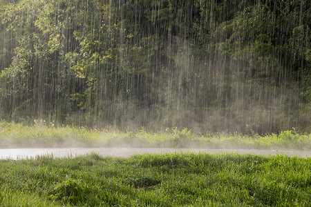 大雨落在了薄雾升起的路上。