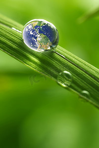 环保元素摄影照片_叶与雨滴-恢复地球概念