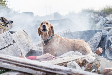 狗在地震后的废墟中寻找伤员.