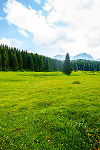 米摄影照片_美丽的绿色山谷与森林和蓝天在杜尔米托尔地块, 黑山