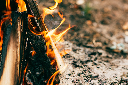燃烧的森林摄影照片_关闭燃烧的木材篝火在森林
