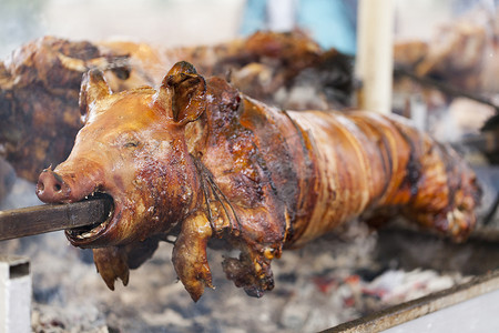 传统的乳猪在旋转的吐痰与火和烟.