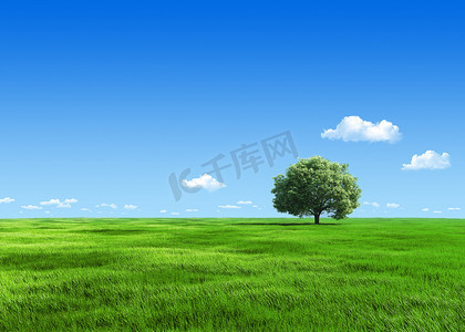 6000px 性质集合-绿色草地 1 树模板