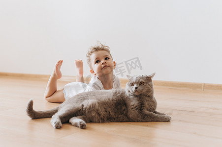 猫地板摄影照片_可爱的学步男孩和灰色英国短毛猫猫躺在地板上一起在家