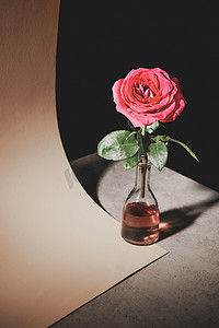 粉红色玫瑰花在玻璃瓶上的石头桌与纸纸查出在黑色