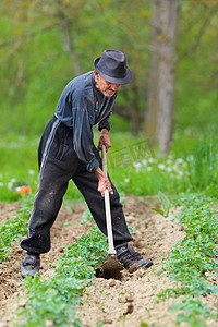 老农夫摄影照片_老农民在土地上耕耘
